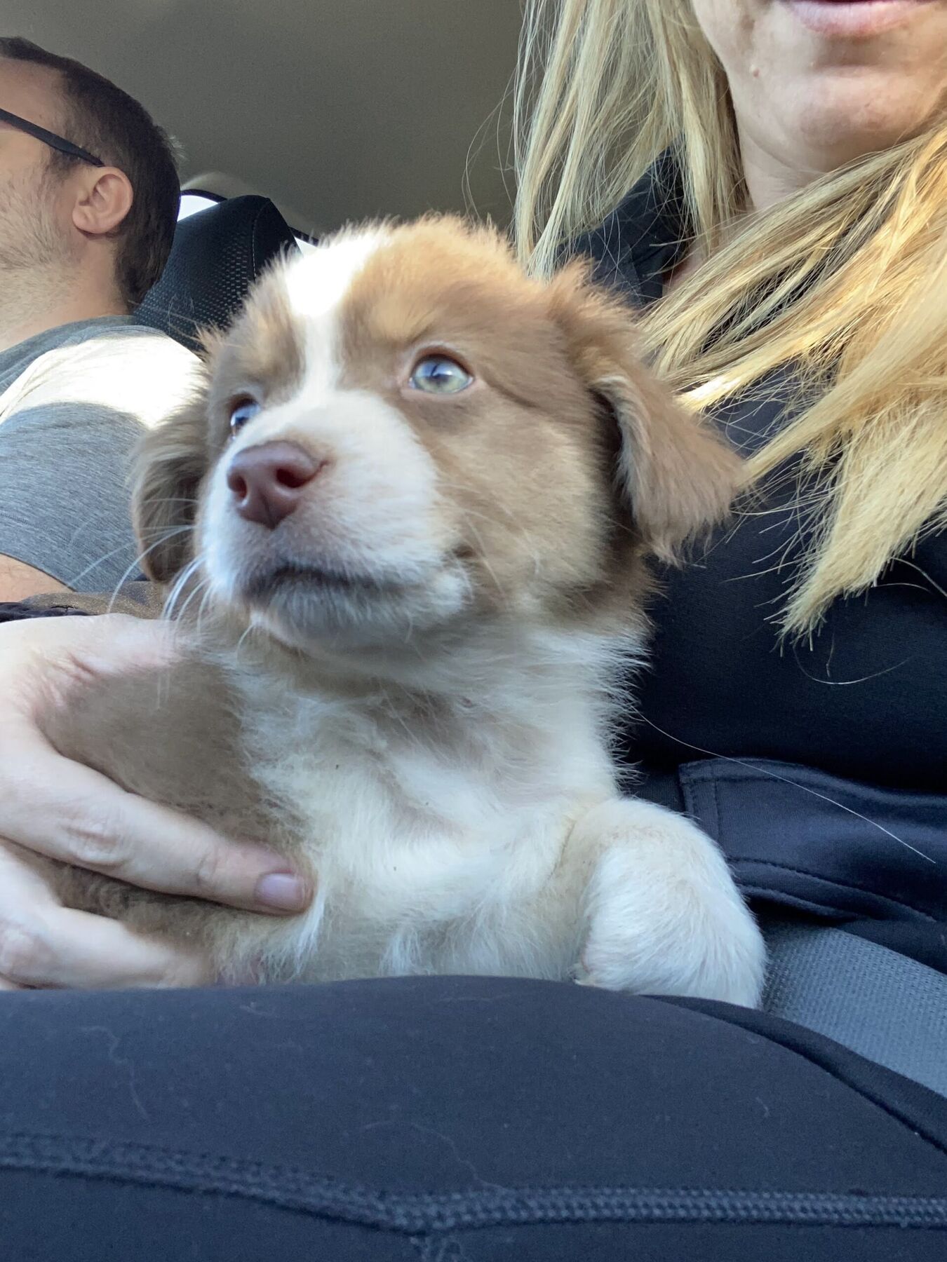 The Morning Patrol Started Before Anyone Was Ready