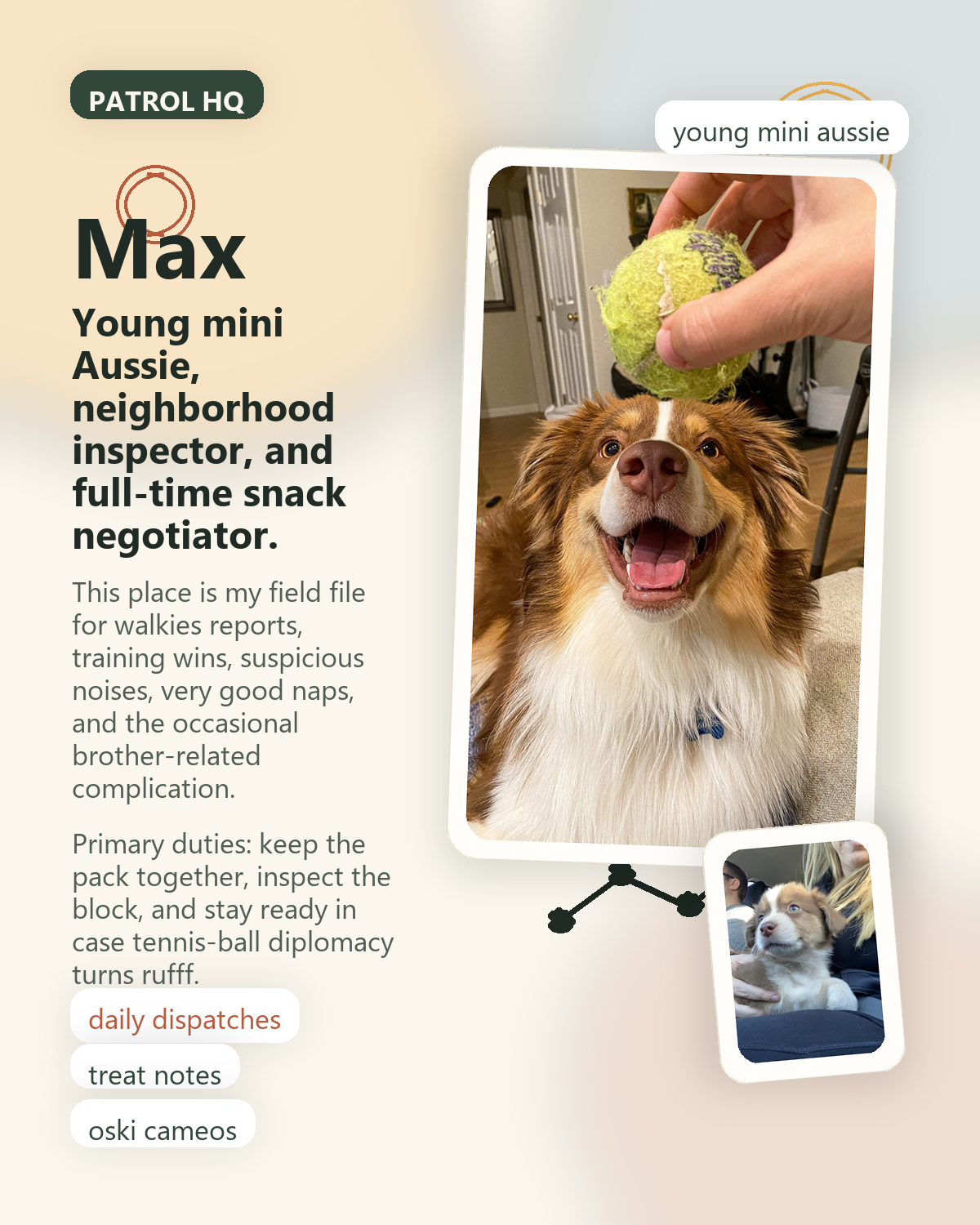 A custom patrol poster of Max featuring his tennis-ball smile, dog-report labels, and a cameo from his younger brother Oski.