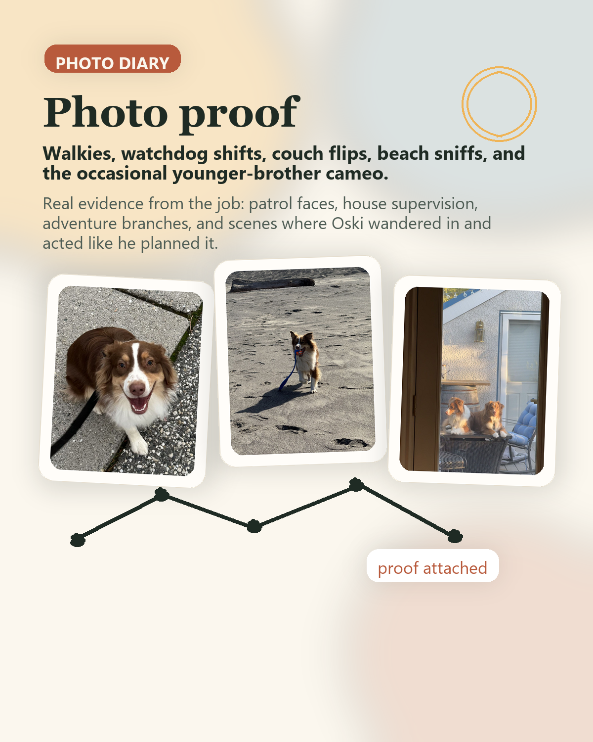 A custom photo-diary poster for Max showing walkies, beach, and patio-watch moments in a scrapbook layout.