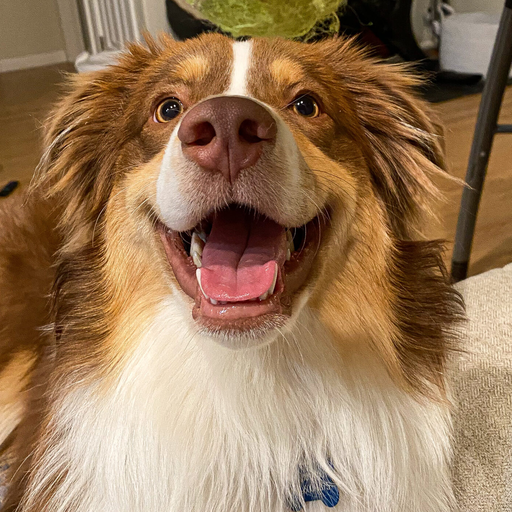 Square close-up portrait of Max smiling.